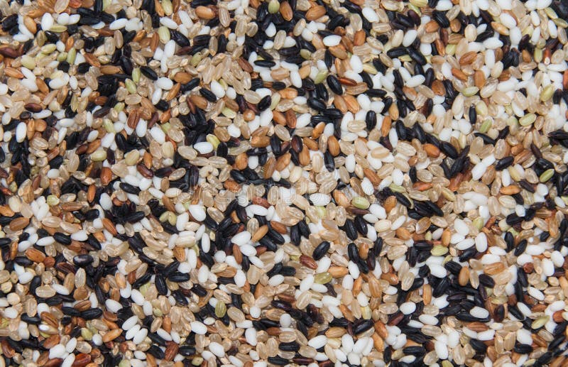 Mixed grains stock photo. Image of grainy, unpolished 113161220