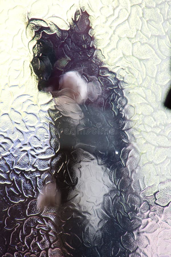 A Black and White Cat Seen through a Frosted Glass Door Stock Image