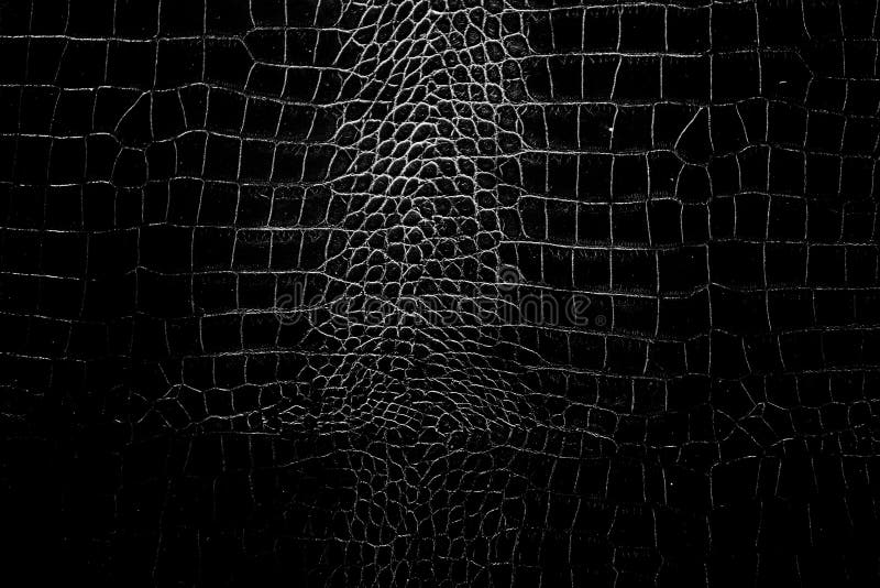 Black and white color texture pattern abstract background can be use as wall paper screen saver brochure cover page or for present stock photos