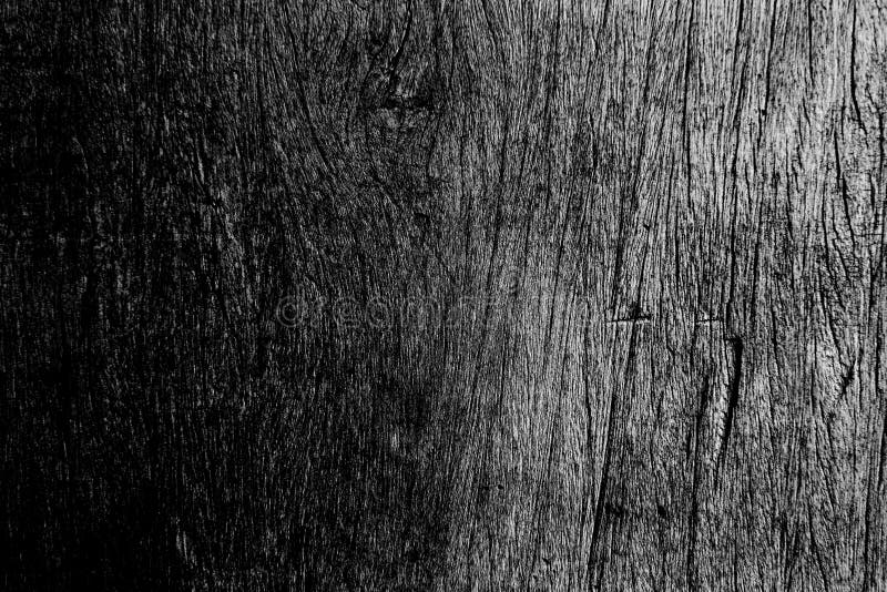 Black and white color texture pattern abstract background can be use as wall paper screen saver brochure cover page or for presentations background or article background also have copy space for text.