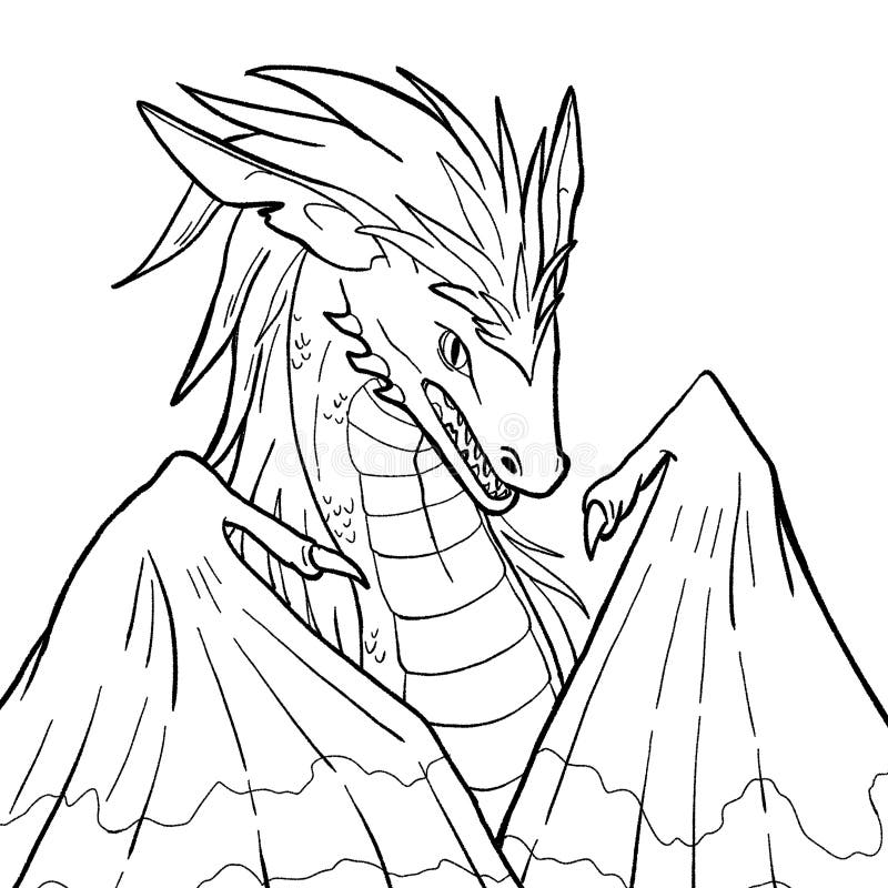 Black and White Coloring Page Ink Illustration of a Dragon Stock ...