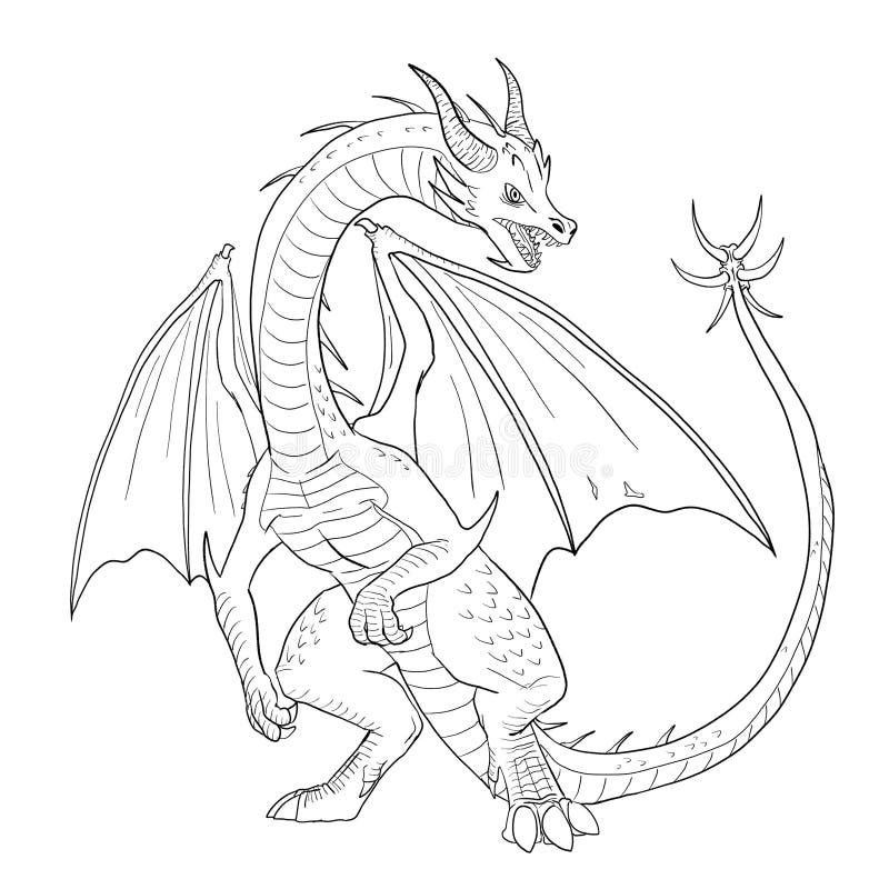 Black and White Coloring Page Ink Illustration of a Dragon Stock ...