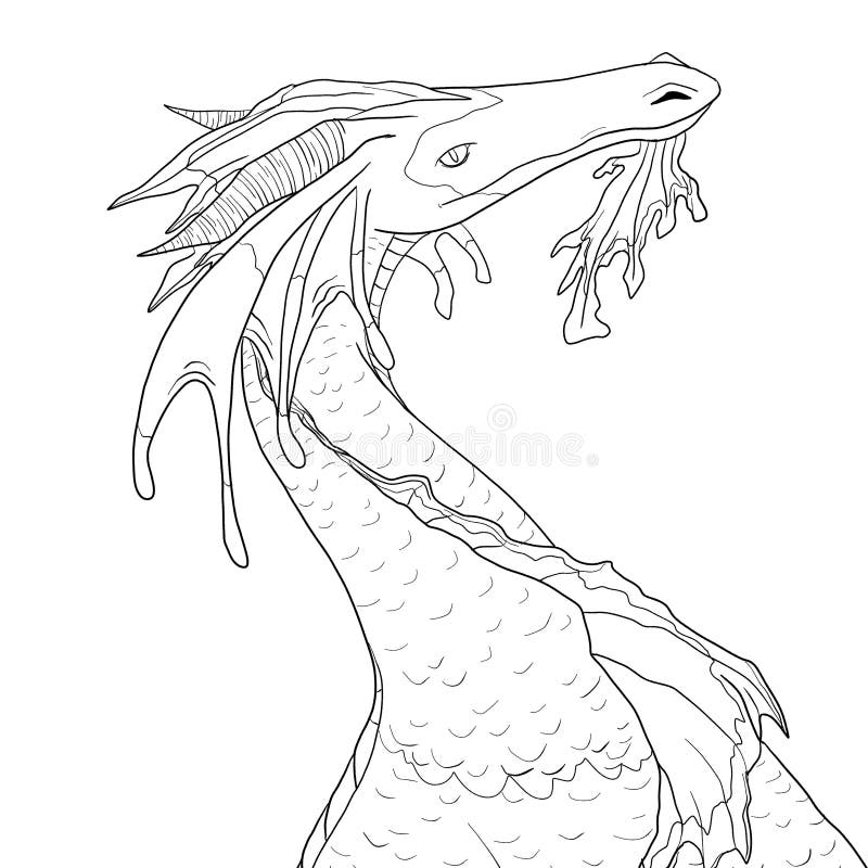 Black and White Coloring Page Ink Illustration of a Dragon Stock