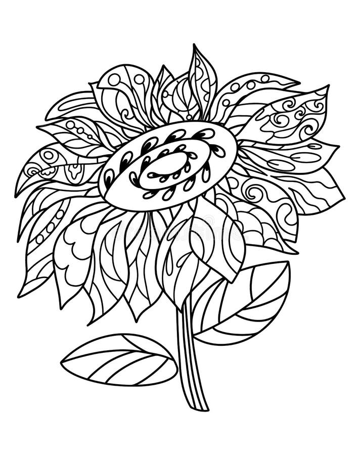 kids sunflower coloring page pencil drawing of vector design with pencil  sketch 10792092 Vector Art at Vecteezy