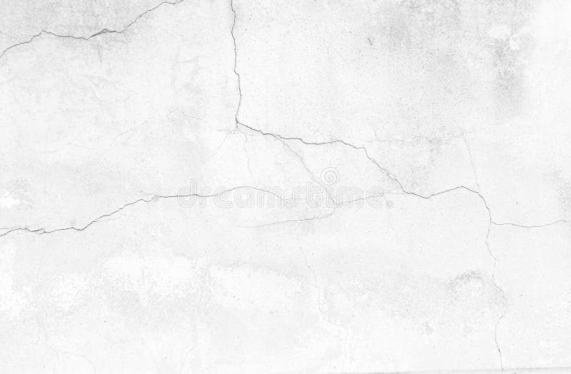 Plain White Backgrounds / Free Download Plain White Background Square ...