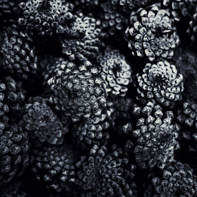 Black and White Cones Background Stock Image Image of design, cone