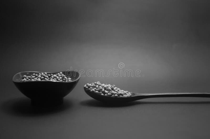 Black and White Coriander Seed Stock Image Image of seed, bowl 128933575