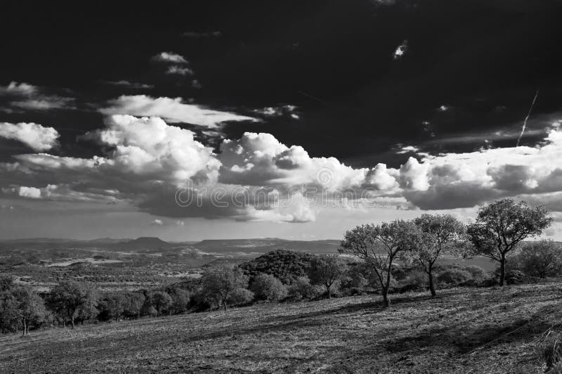 Black and white countryside landscape with small gentle clouds