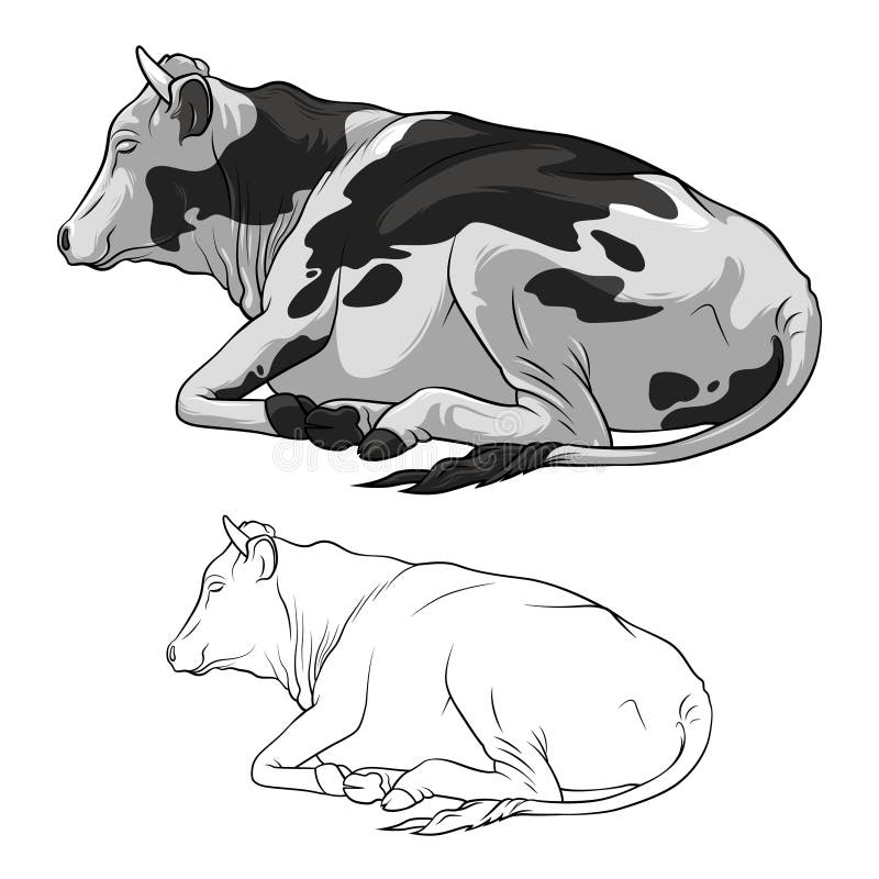 Lying Cow Stock Illustrations – 367 Lying Cow Stock Illustrations ...