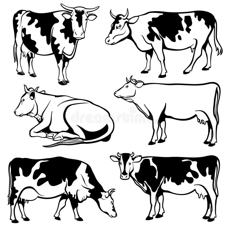 Black and White Cows Vector Set Stock Vector - Illustration of group ...
