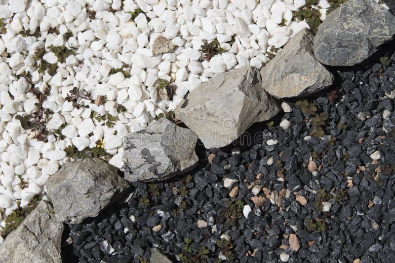 Black And White Decorative Garden Stones Stock Image Image