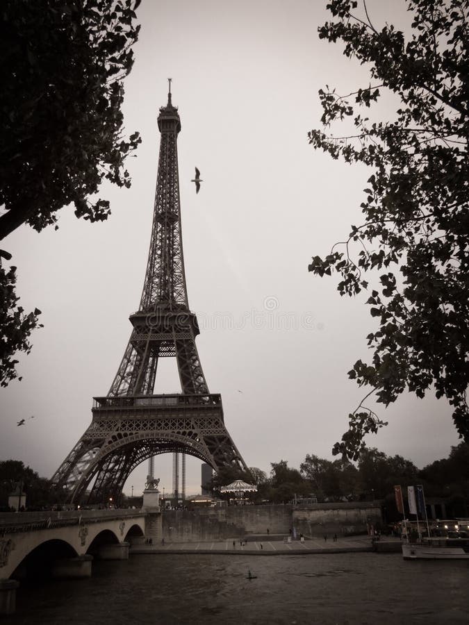 Black and White Eiffel Tower in the City of Paris stock photo Black and White Eiffel Tower in the City of Paris stock photo