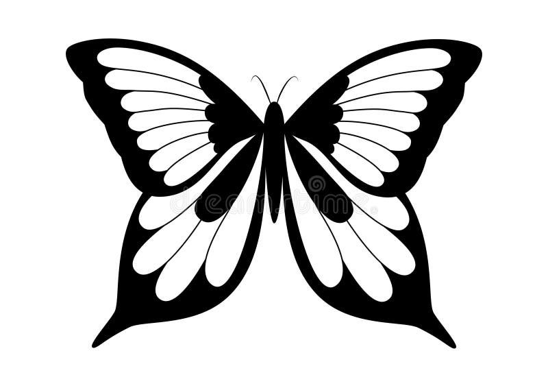 Black and white elegant butterfly