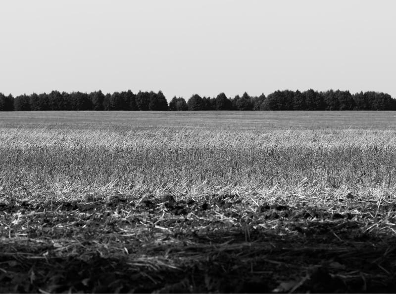 Black White Farm Stock Photos Download 93,533 Royalty Free Photos