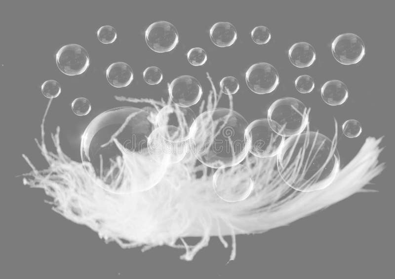 Black And White, Feather, Monochrome Photography, Photography Picture