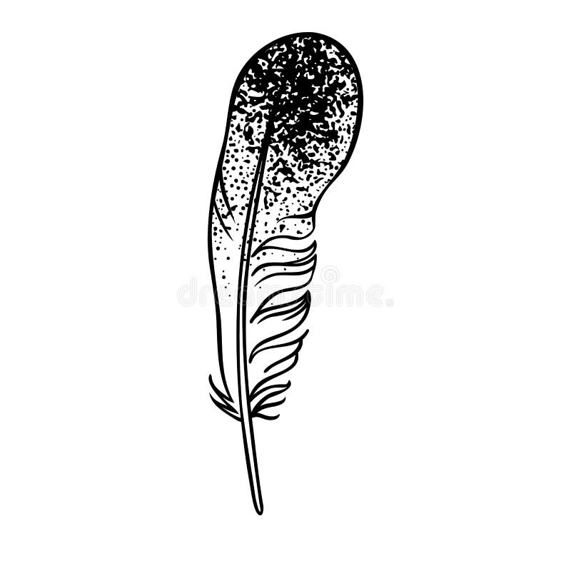 black-and-white-feather-ornamental-boho-style-element-vector