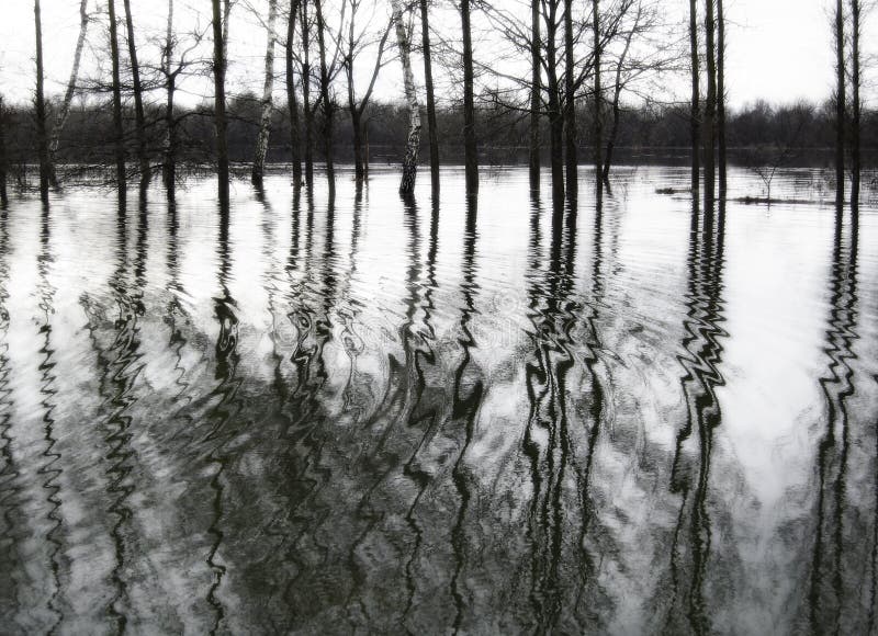 Black and white flooded landscape stock photo Black and white flooded landscape stock photo