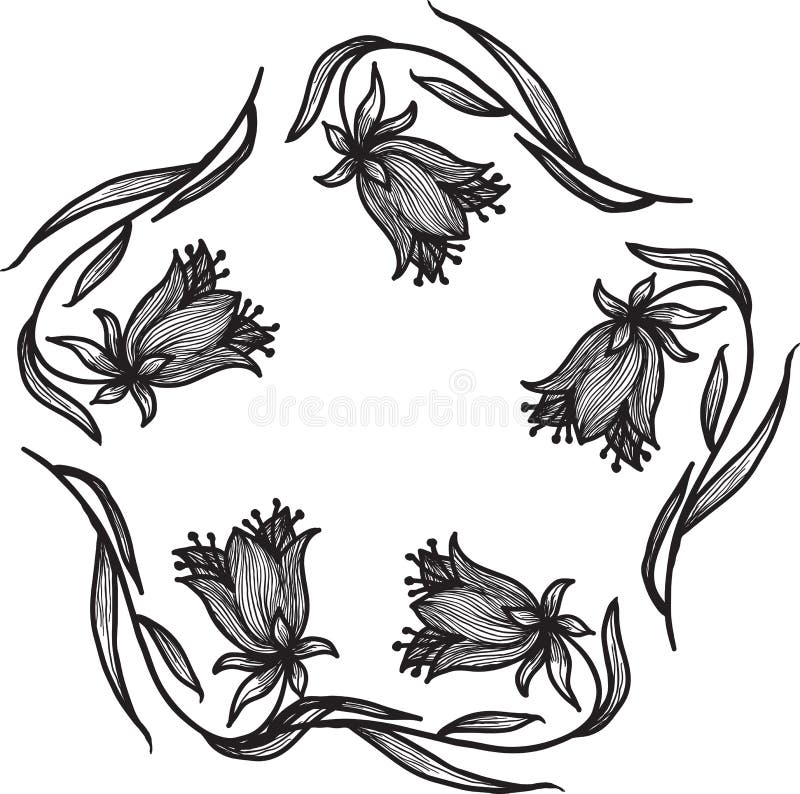 Black and white frame stock vector. Illustration of insect 77188167