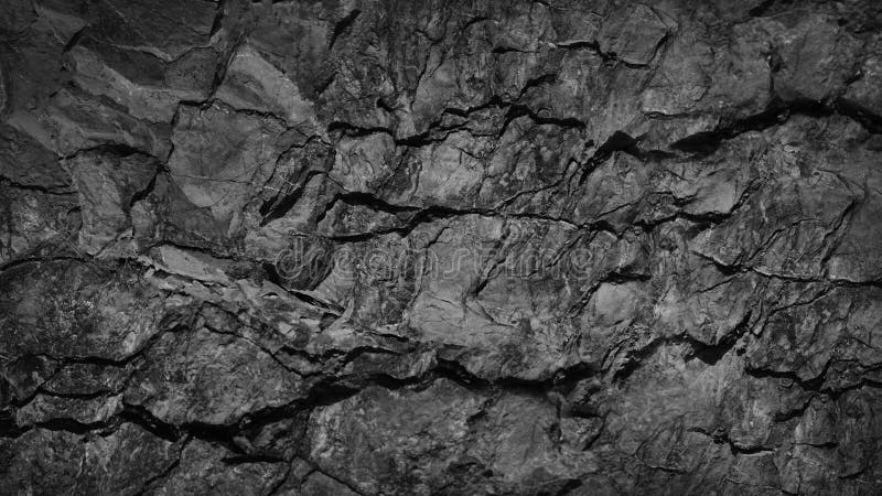 Black white grunge background. Rock texture with cracks. Stone wall background with copy space for text and design.