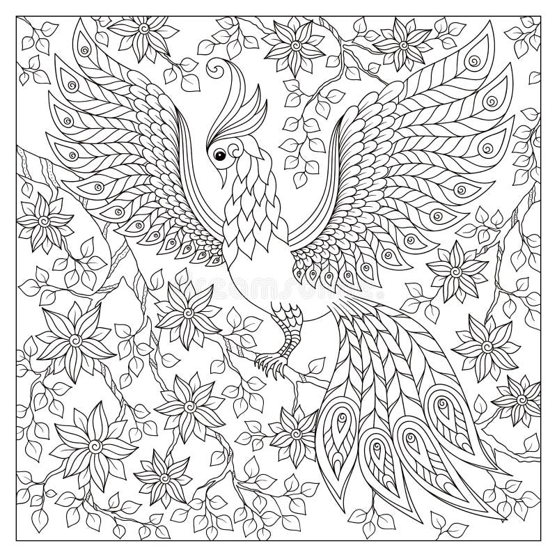 Peacock. Adult Antistress Coloring Page. Black And White Hand Drawn