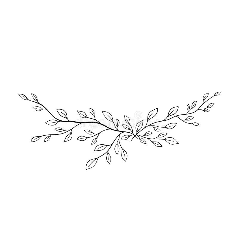 Black on white Hand drawn vector Branch with leaves. Floral simple illustration. Botanical ink contour. Minimalism line