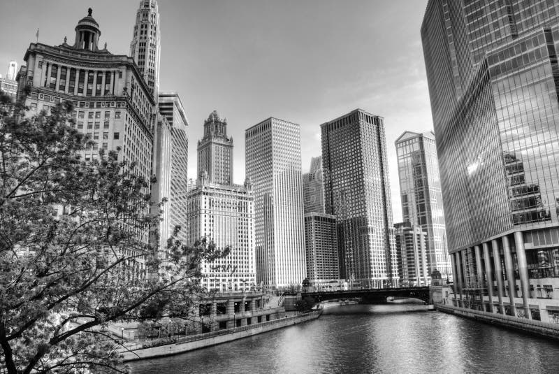 Black And White HDR Of Chicago Stock Image Image of buildings, white