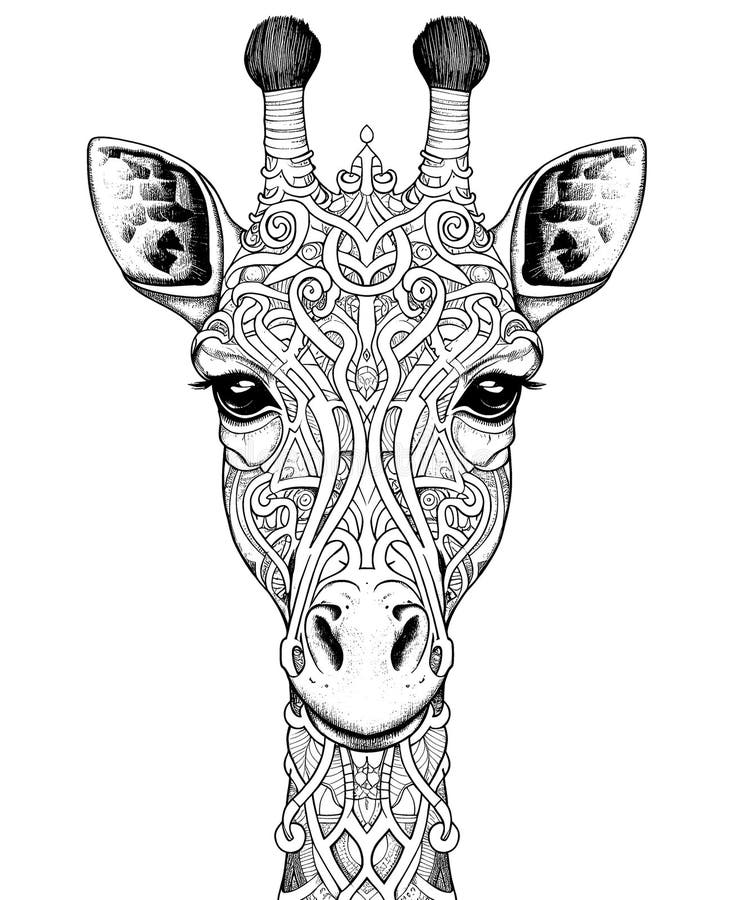 Black and White Illustration for Coloring Animals,giraffe. Stock