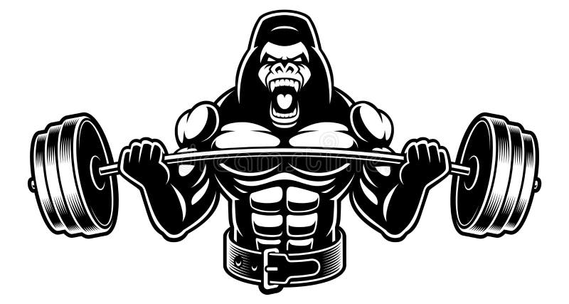 Maak leven Ijdelheid Typisch Gorilla Fitness Stock Illustrations – 293 Gorilla Fitness Stock  Illustrations, Vectors & Clipart - Dreamstime