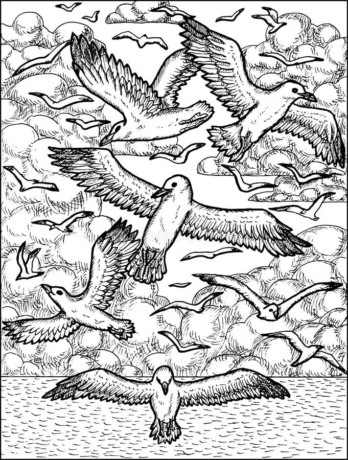 Black and white illustration of gull birds flying against the background of sea and sky with clouds