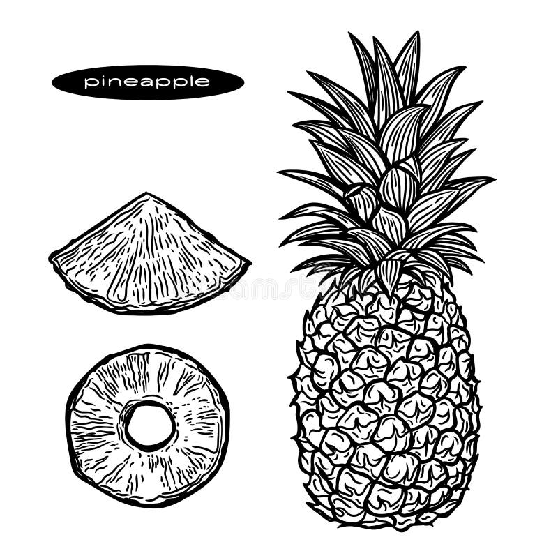 Black and White Illustration of Pineapple and Slices of Pineapple