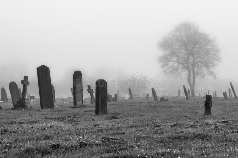 Scattered Graves in a Misty Cemetery