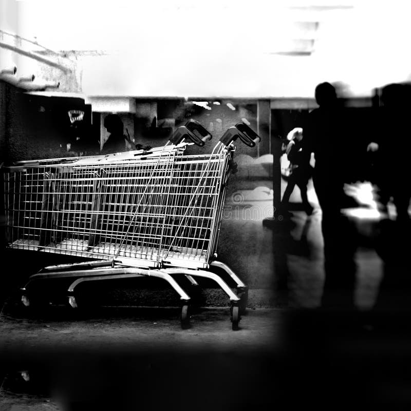 Row of Chrome Shopping Carts Stock Photo Image of rowing, group