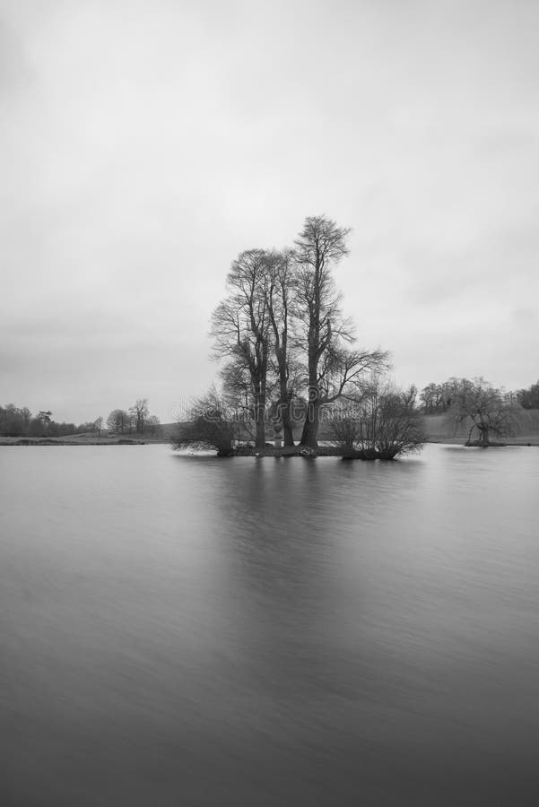 Beautiful Black and White Landscape Image of Tree on Island in L Stock