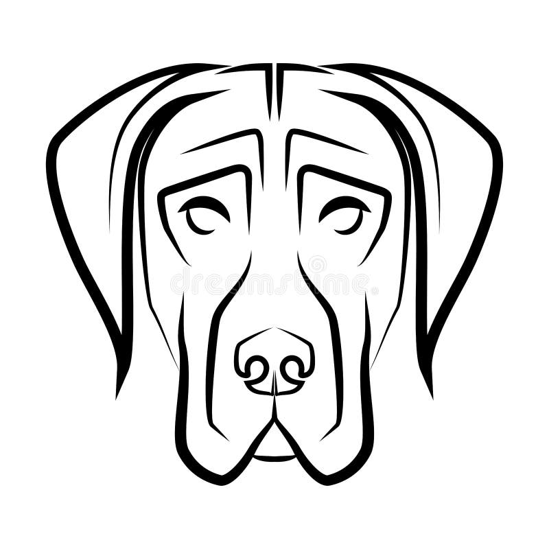 Vector Illustration Of A Mastiff Head Great Dane German Mastiff Or Danish  Hound Vector, Standing, Tattoo, Isolated PNG and Vector with Transparent  Background for Free Download