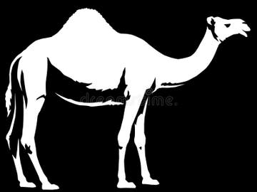 Camel Stencil Stock Illustrations – 41 Camel Stencil Stock