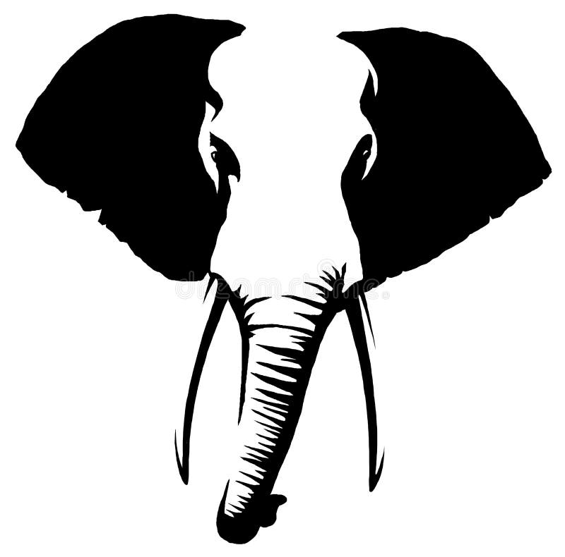 Black and White Linear Paint Draw Elephant Illustration Stock Illustration Illustration of