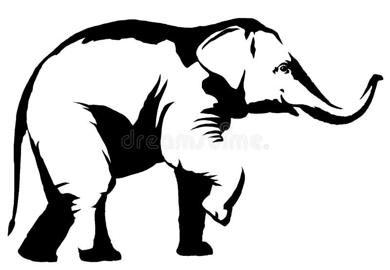 Black White Drawing Elephant Stock Illustrations 6,993 Black White