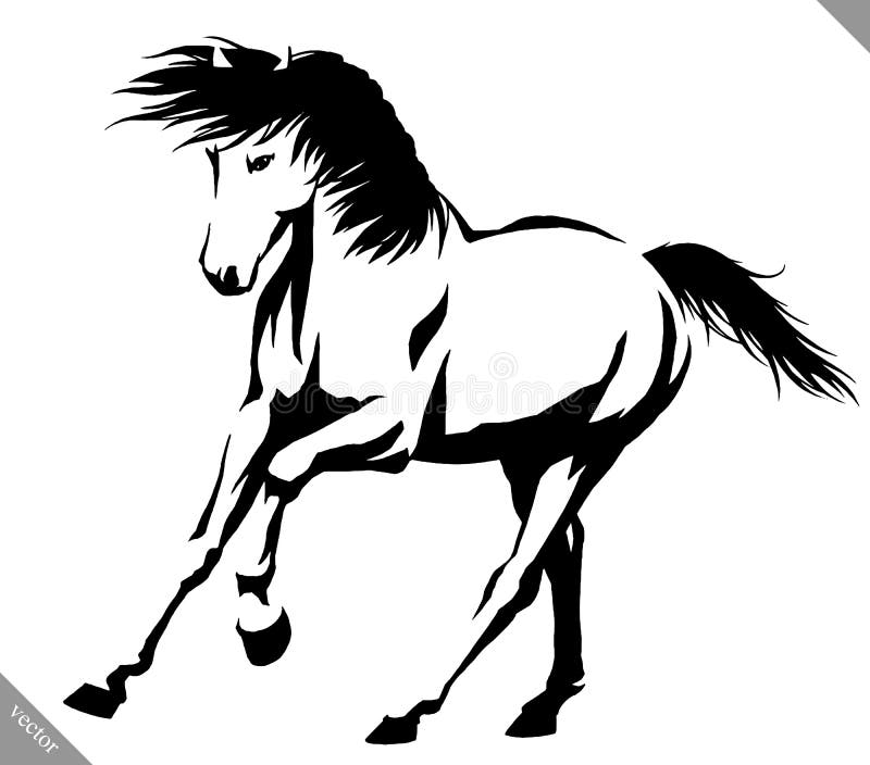 Black and White Linear Paint Draw Horse Vector Illustration Stock