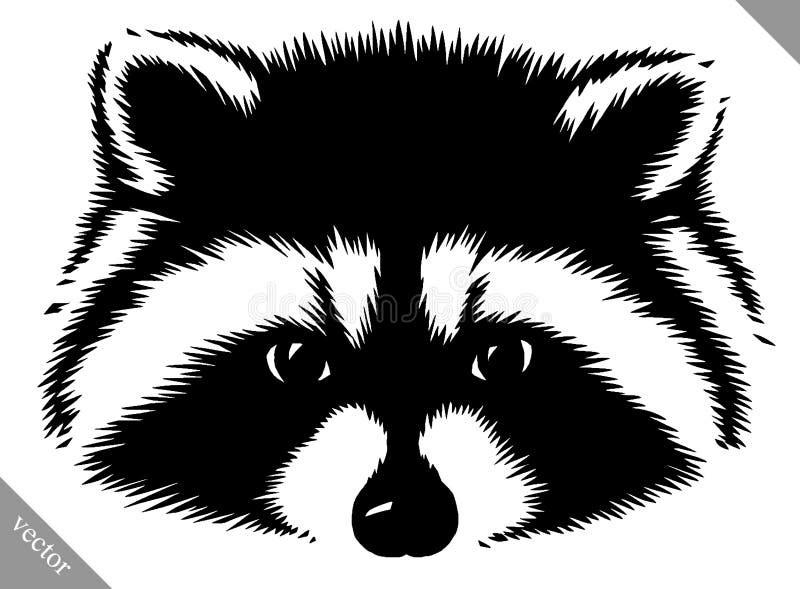 Raccoon Drawing Outline
