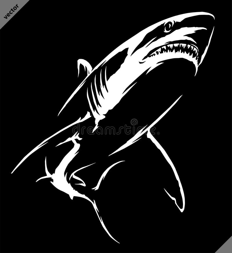 Black and White Linear Paint Draw Shark Illustration Art Stock Vector