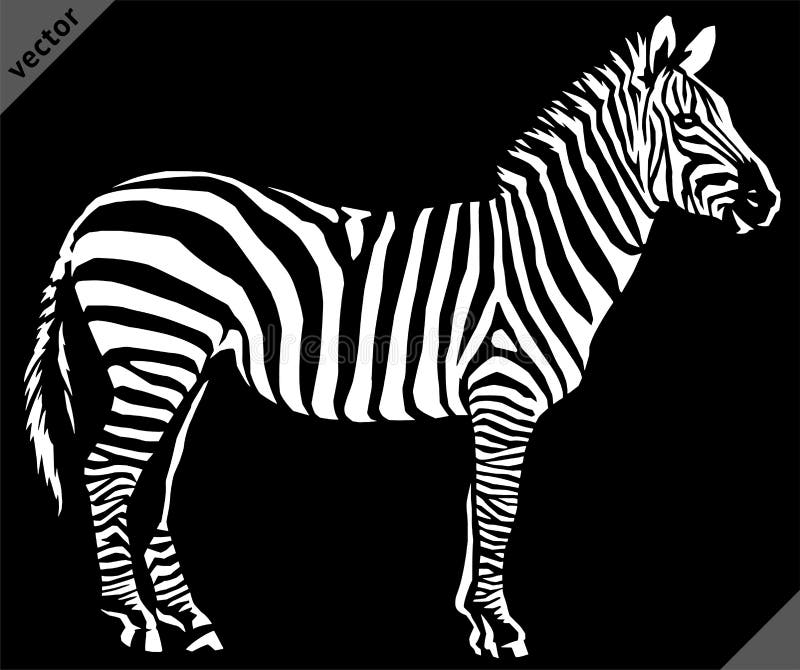 Black and White Linear Paint Draw Zebra Vector Illustration Art Stock