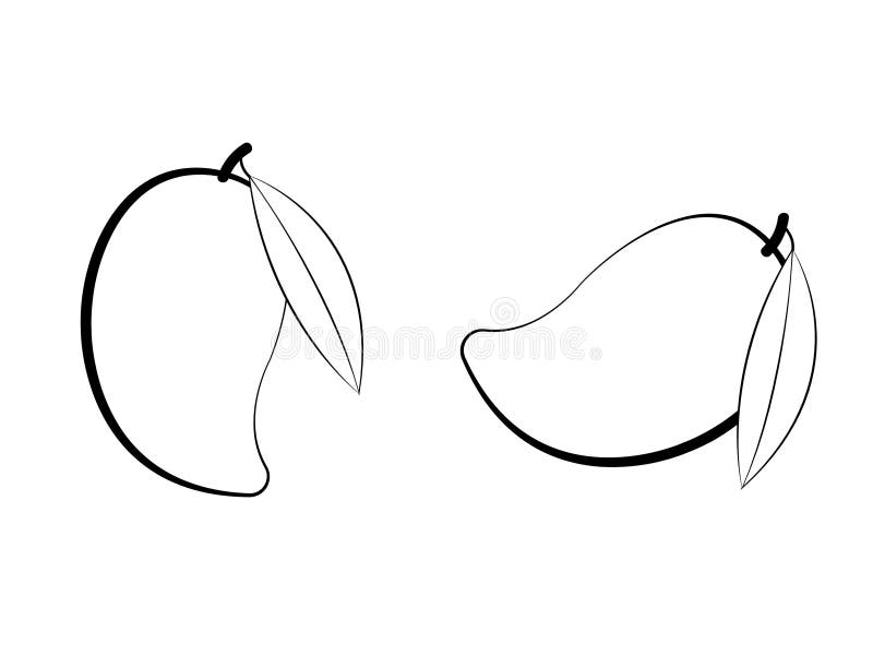 Mango Leaf Stock Illustrations 10,508 Mango Leaf Stock Illustrations
