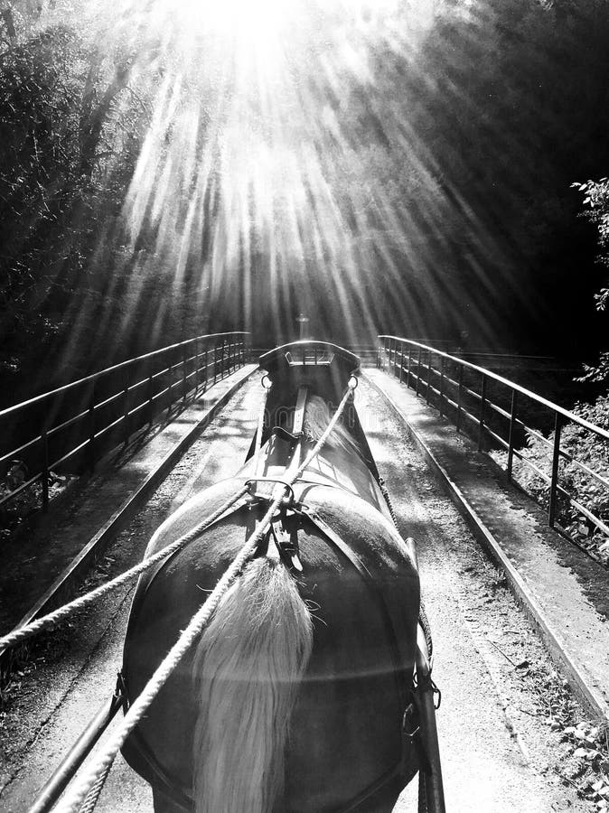 Black, Black And White, Monochrome Photography, Water royalty free stock image Black, Black And White, Monochrome Photography, Water royalty free stock image