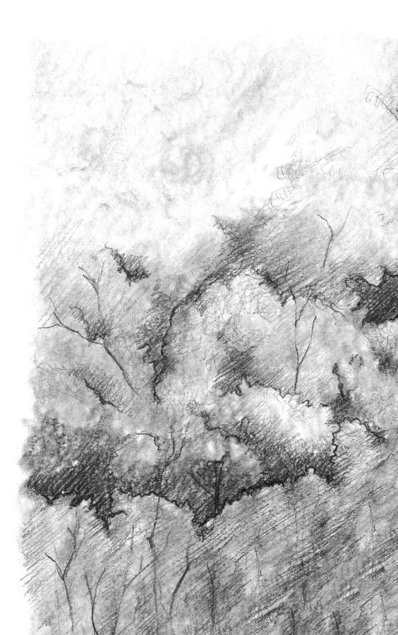 Featured image of post Pencil Sketch Drawing Nature Images Download : Find over 100+ of the best free drawing images.