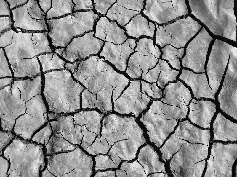 Black and white mud cracks royalty free stock photo