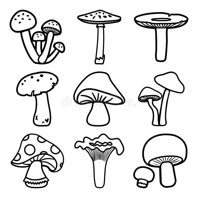 Black and White Mushrooms Set. Different Cartoon Mushrooms. Vector