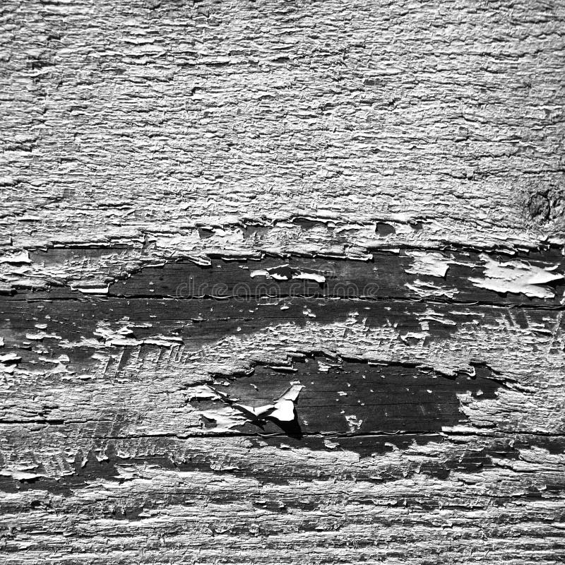 Black and White Wood Texture Stock Photo Image of cabin, black 196069482