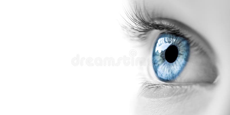 Macro Image Of Wide Open Blue Eye, Black And White Photo Stock Photo,  Picture and Royalty Free Image. Image 56595793.