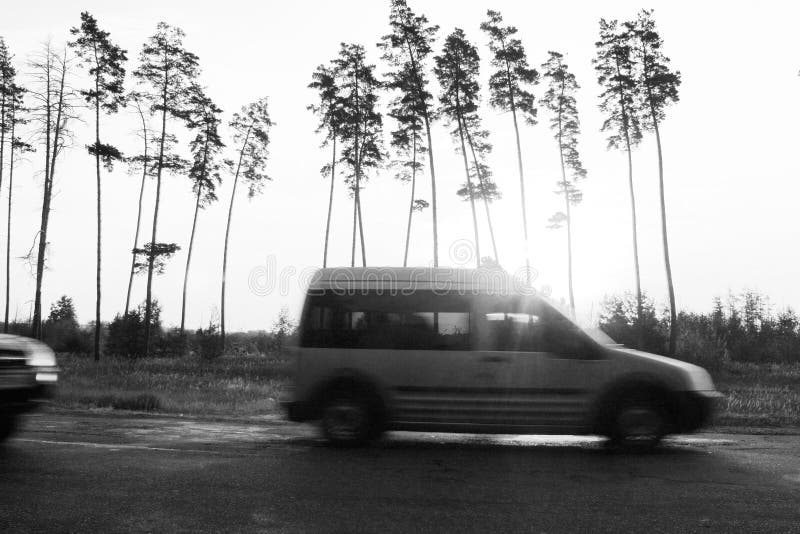 Black and white photo in retro style with car on palms background while traveling