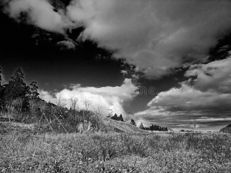 Black & White Picture of Cloud & Nature